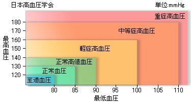 lɂ錌